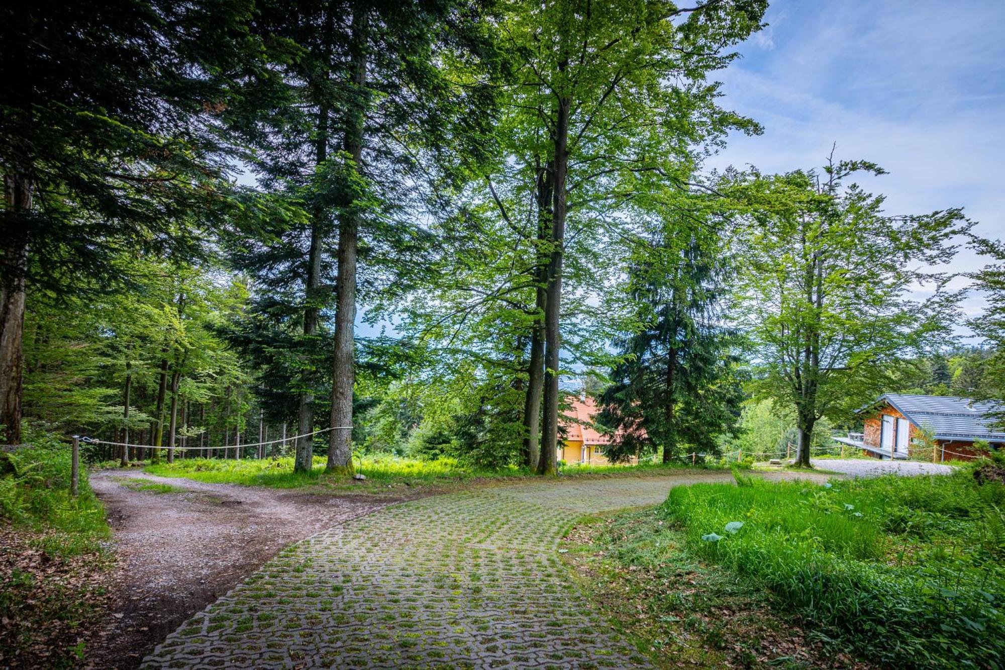 Sonnenhaeusle - Natur. Fernblick. Panorama-Sauna. Sasbachwalden Luaran gambar